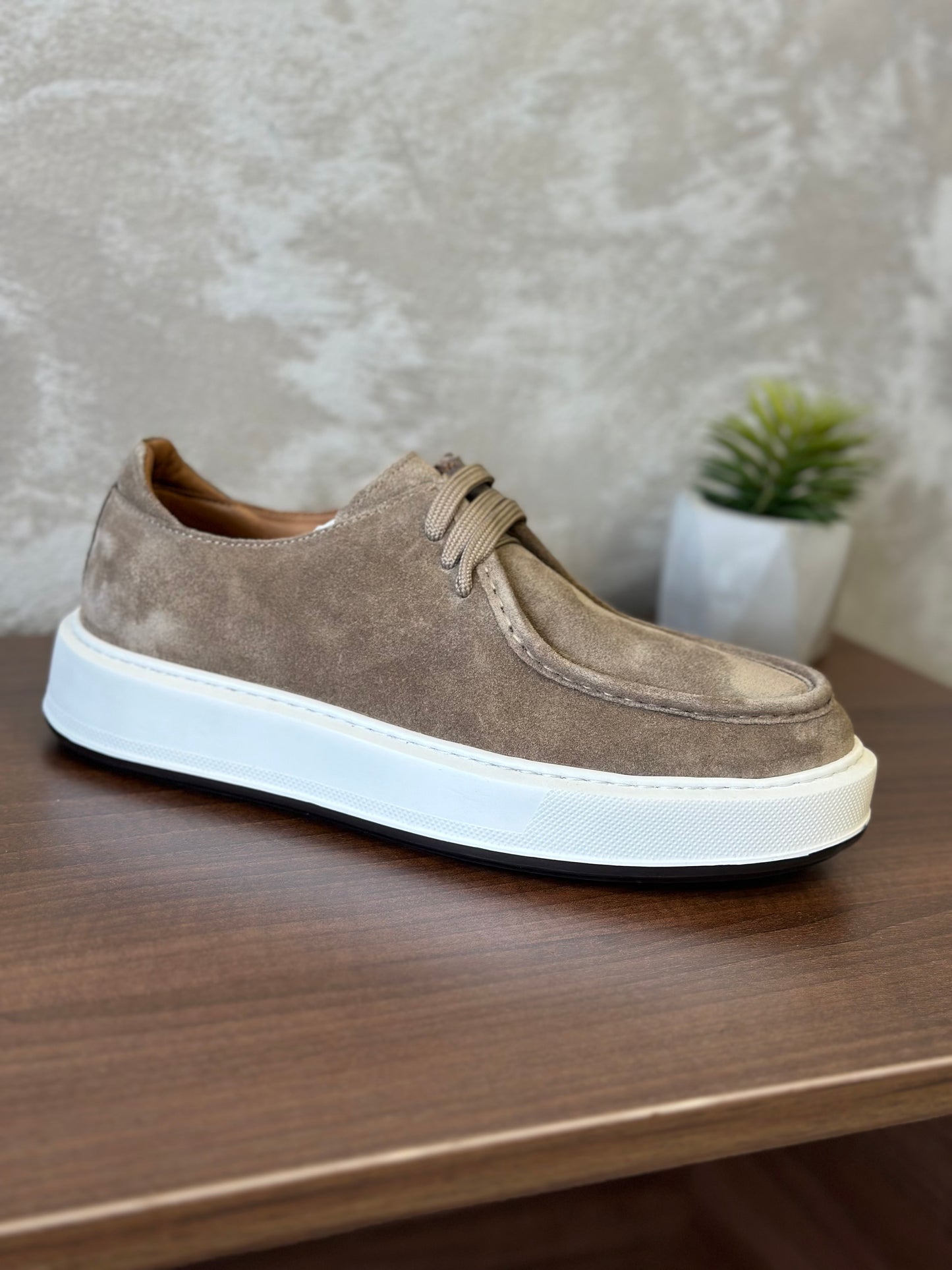 Cipela 4701