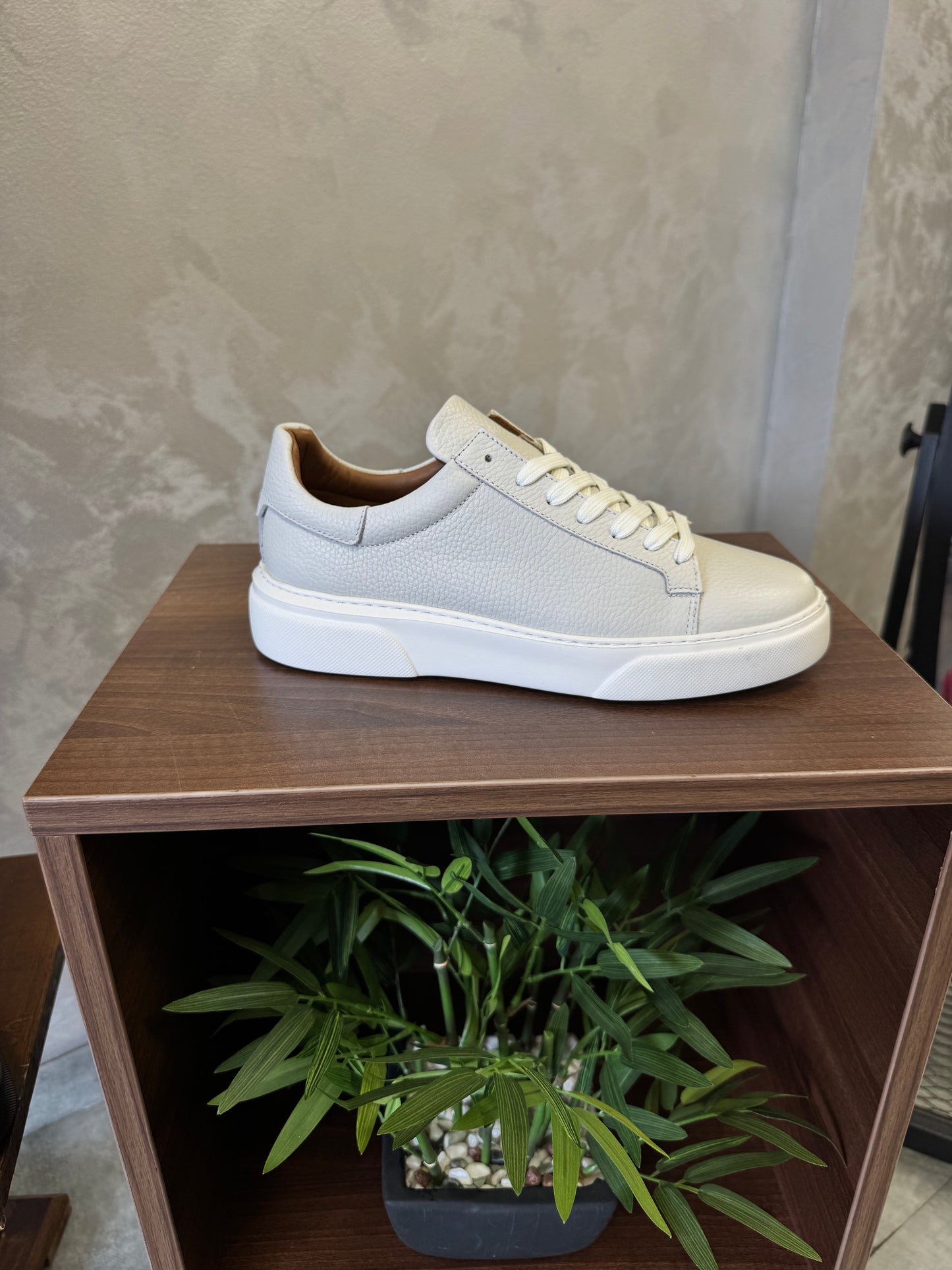 Patika 0018